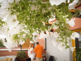 Pergola 5